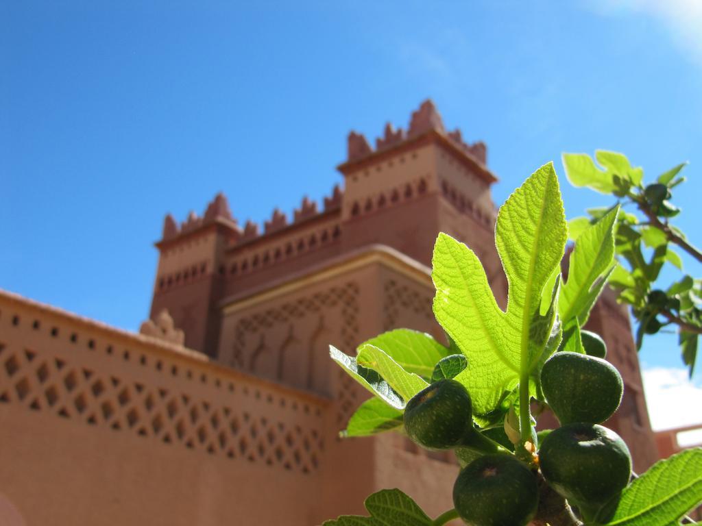 Hotel Kasbah Ait Kassi à Boumalne Extérieur photo
